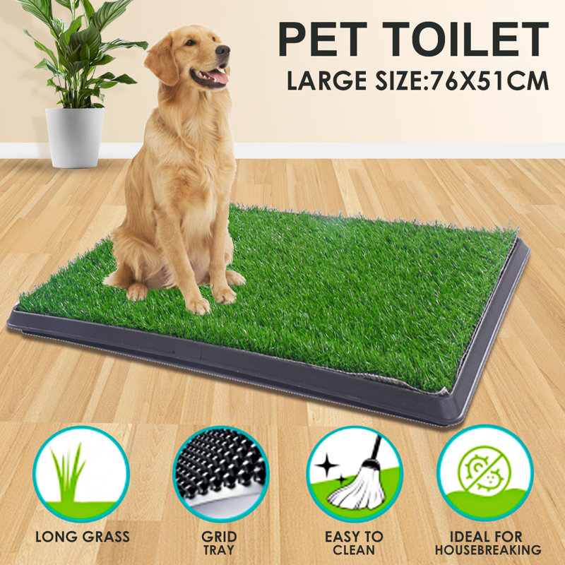 Tucker Murphy Pet Daronte Dog Pee Turf Potty Training Artificial Grass Reviews Wayfair